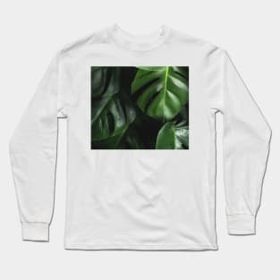 Luscious ferns III Long Sleeve T-Shirt